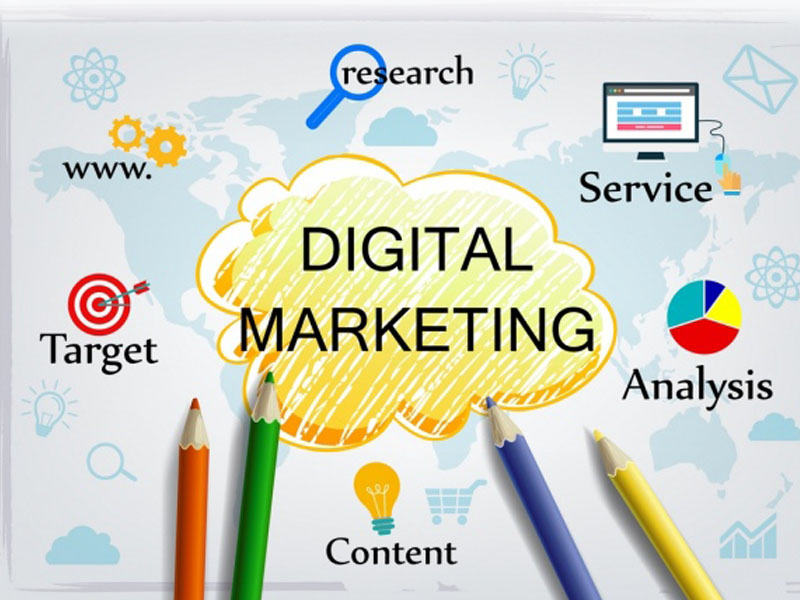 Website Digital Marketing Infographic