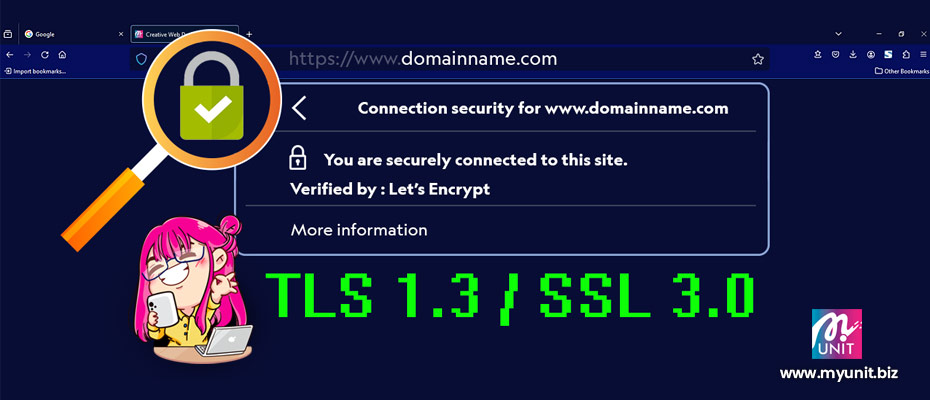 TLS SSL